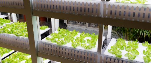 Agricultura vertical sustentável Orion Vertical Farm